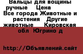 Вальцы для вощины ручные  › Цена ­ 10 000 - Все города Животные и растения » Другие животные   . Кировская обл.,Югрино д.